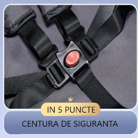 Căruț pentru bebeluși At Performance, pliabil, ușor, cu șezut reglabil și funcție sport, 6-36 luni NEGRU