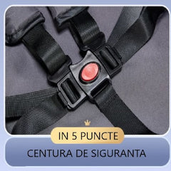 Căruț pentru bebeluși At Performance, pliabil, ușor, cu șezut reglabil și funcție sport, 6-36 luni NEGRU