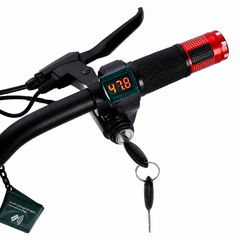 Trotinetă Electrică AT PERFORMANCE® AT-219, Motor 1000W, Baterie 48V 12.5Ah, Autonomie până la 45 km, Viteză până la 50 km/h, Roți Pneumatice 10", Cadru Aluminiu, Pliabilă