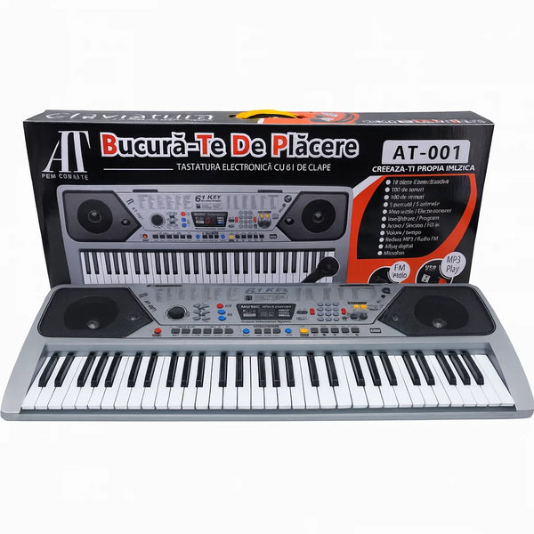 Instrumente Muzicale