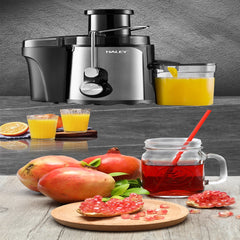 Storcător Electric de Fructe și Legume HALEY HY-2901, 1000W, Gură de Alimentare 70 mm, 3 Trepte de Viteză + Pulse, Recipient Suc 600 ml, Recipient Pulpă 1,5 L, Filtru Inox, Argintiu/Negru