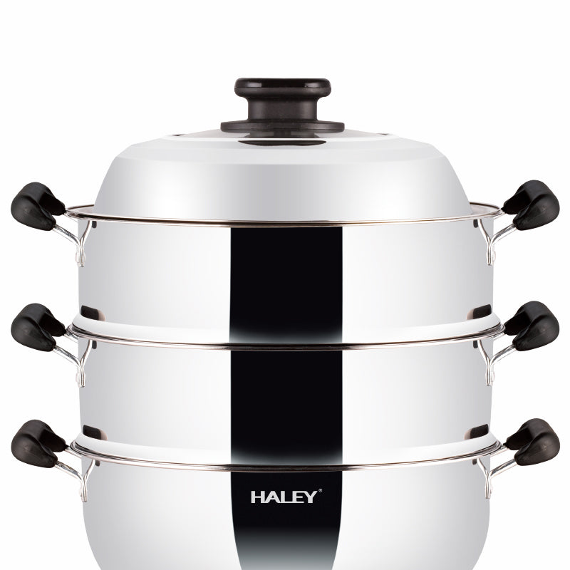 Vas Electric Multifuncțional HALEY HY-501, 2100W, Inox Premium cu Abur pe Două Nivele, Ideal pentru Gătit Sănătos Acasă sau la Hotel
