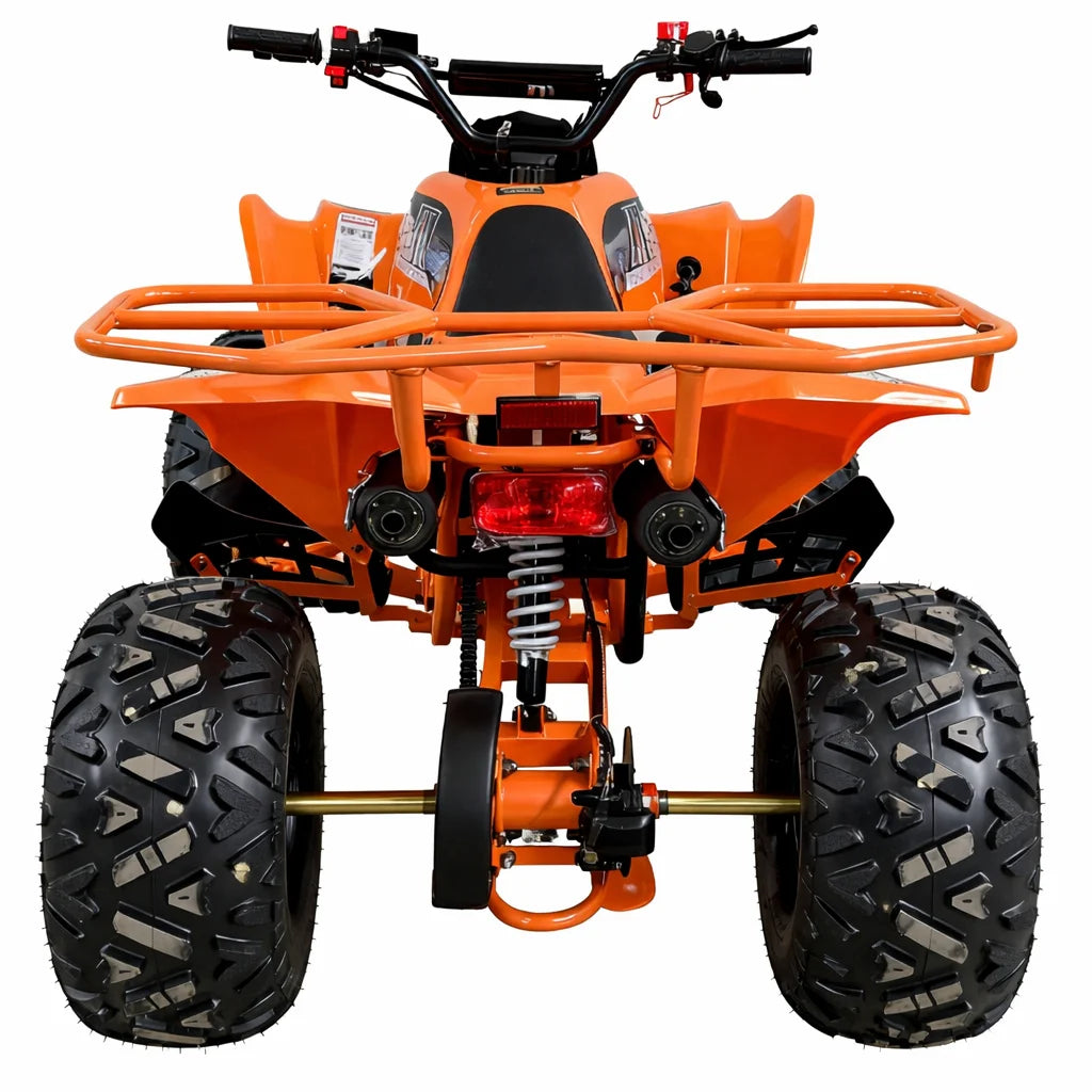 ATV 125cc Off-Road AT Performance – Pornire Electrică & Cutie 3+1, 50 km/h