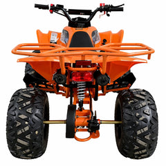 ATV 125cc Off-Road AT Performance – Pornire Electrică & Cutie 3+1, 50 km/h