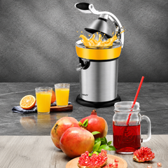 Storcător Electric pentru Citrice Haley HY-2954, 800W, Recipient 400 ml, Sistem cu Pârghie, Carcasă Inox, Randament Ridicat, Argintiu