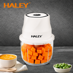 Aparat pentru prepararea și mărunțirea alimentelor HALEY HY-1255, 300W, recipient din sticlă 350 ml, 6 lame din oțel inoxidabil, încărcare USB Type-C