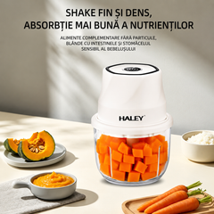 Aparat pentru prepararea și mărunțirea alimentelor HALEY HY-1255, 300W, recipient din sticlă 350 ml, 6 lame din oțel inoxidabil, încărcare USB Type-C
