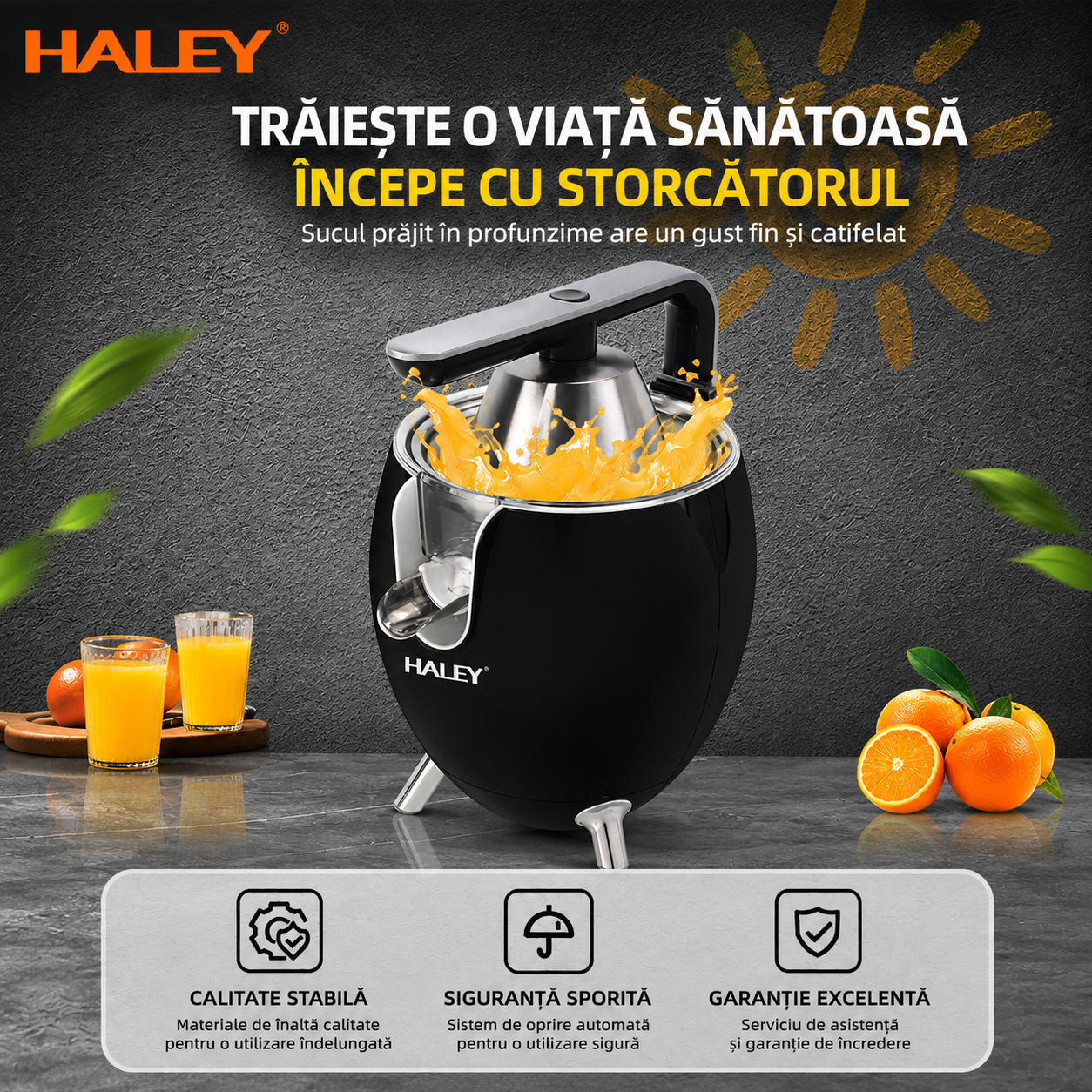 Storcător Electric de Citrice HALEY HY-2965, 500W, 2 Conuri pentru Citrice, Sistem de Presare, Componente din Inox, Funcție Anti-Picurare, Negru