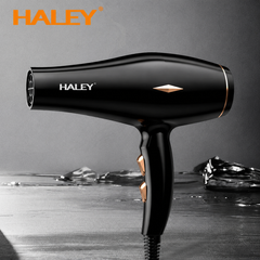 Uscător De Păr Profesional Haley HY-4031, 2200W, 3 Trepte De Temperatură, Control Inteligent Al Temperaturii, Concentrator De Aer, Filtru Detașabil, Negru