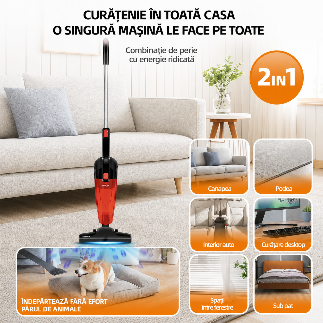 Aspirator Vertical 2 în 1 HALEY HY-1911, 650W, Recipient 1,2L, Tehnologie Ciclon, Filtrare în 4 Trepte, Rază 5 m