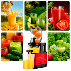 Storcător cu Presare Lentă Haley HY-604, 200W, Slow Juicer, Recipient Suc 300 ml, Recipient Pulpă 300 ml, Filtru Inox cu Micropori, Roșu