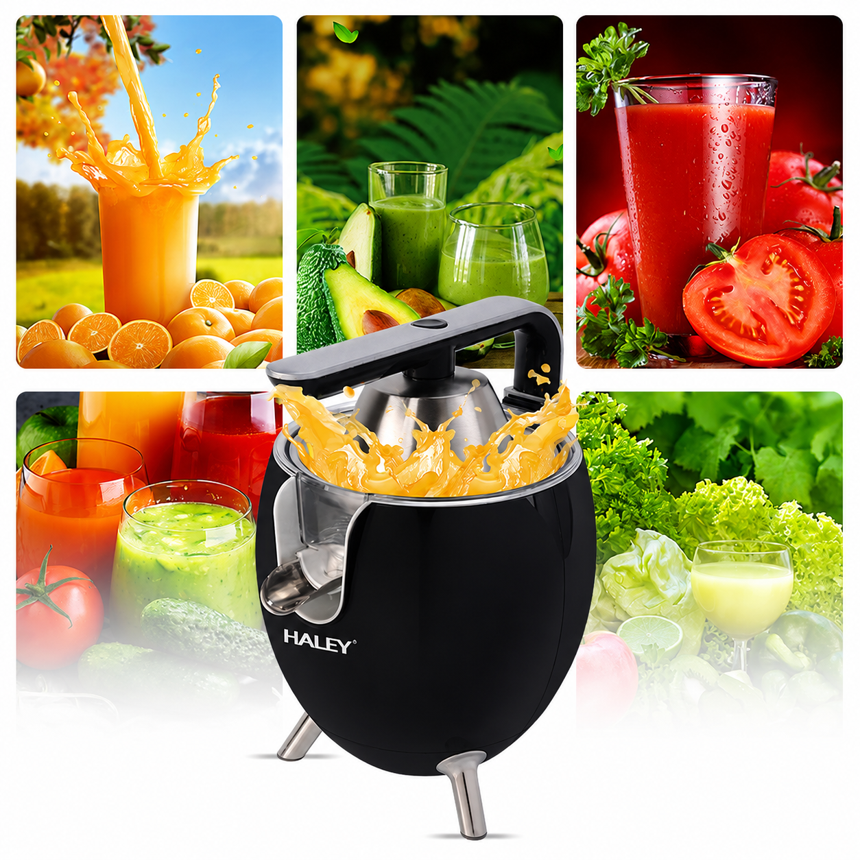 Storcător Electric de Citrice HALEY HY-2965, 500W, 2 Conuri pentru Citrice, Sistem de Presare, Componente din Inox, Funcție Anti-Picurare, Negru