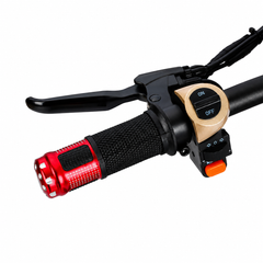 Trotinetă Electrică AT PERFORMANCE® AT-219, Motor 1000W, Baterie 48V 12.5Ah, Autonomie până la 45 km, Viteză până la 50 km/h, Roți Pneumatice 10", Cadru Aluminiu, Pliabilă