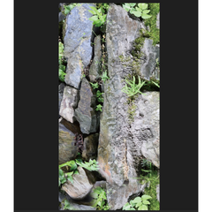 Rola Tapet 3D, autoadeziv/autocolant, AT PERFORMANCE®, spuma moale, design modern, pentru interior, usor de curatat, rezistent la apa, 68cmx2.8m, model piatra, natura