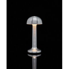 Lampa de birou, At Performance, portabila ciupercuta, 22 cm, Agintie