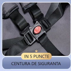 Carucior Pentru Bebelusi At Performance – Usor, Pliabil, Sezut Reglabil, Spatios, Sport 6-36 Luni, Crem