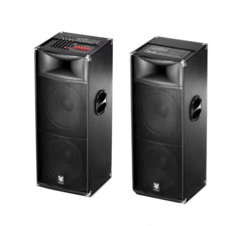 Sistem Audio Profesional VALLIODOR 2025 – 560W, 4 Difuzoare 15”, 2 Microfoane Wireless, Telecomandă